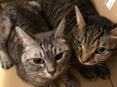 名称未設定のデザイン (1).png