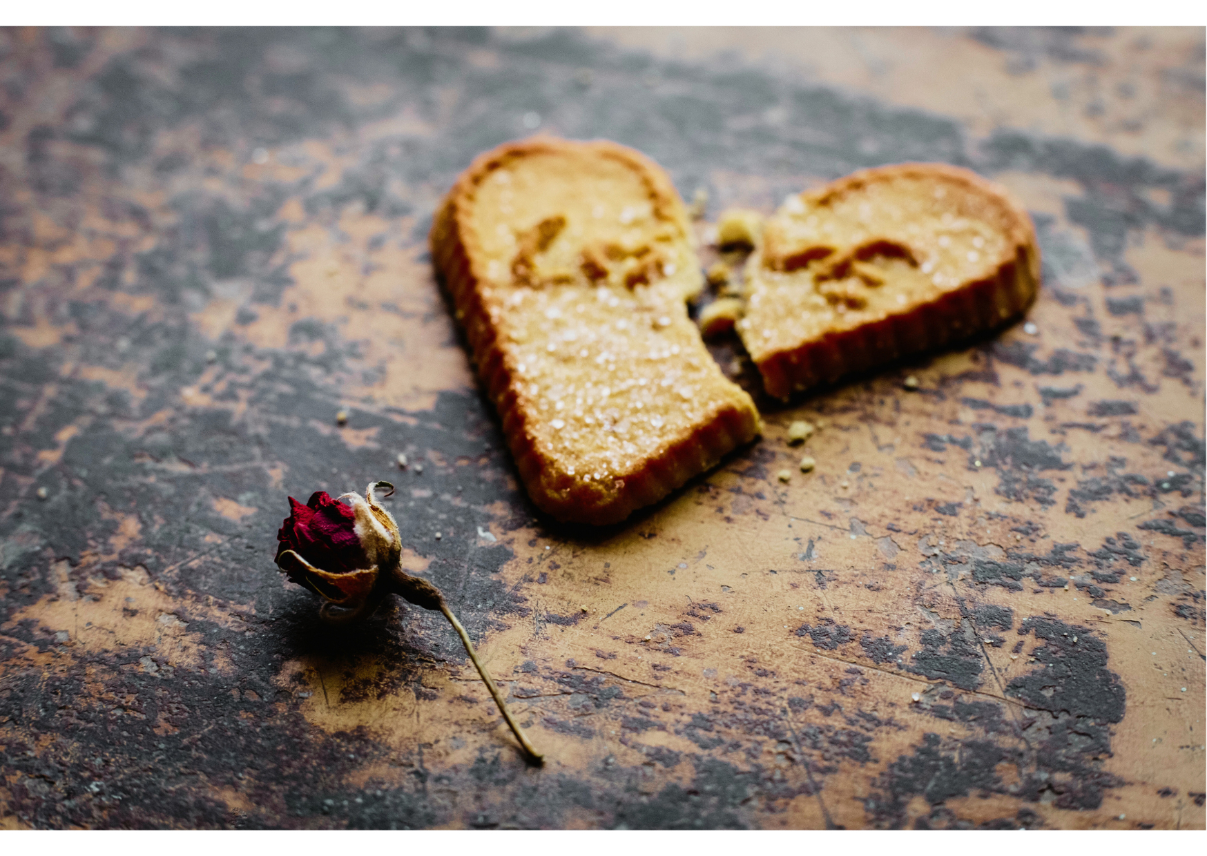 名称未設定のデザイン - 2023-11-23T011126.741.png