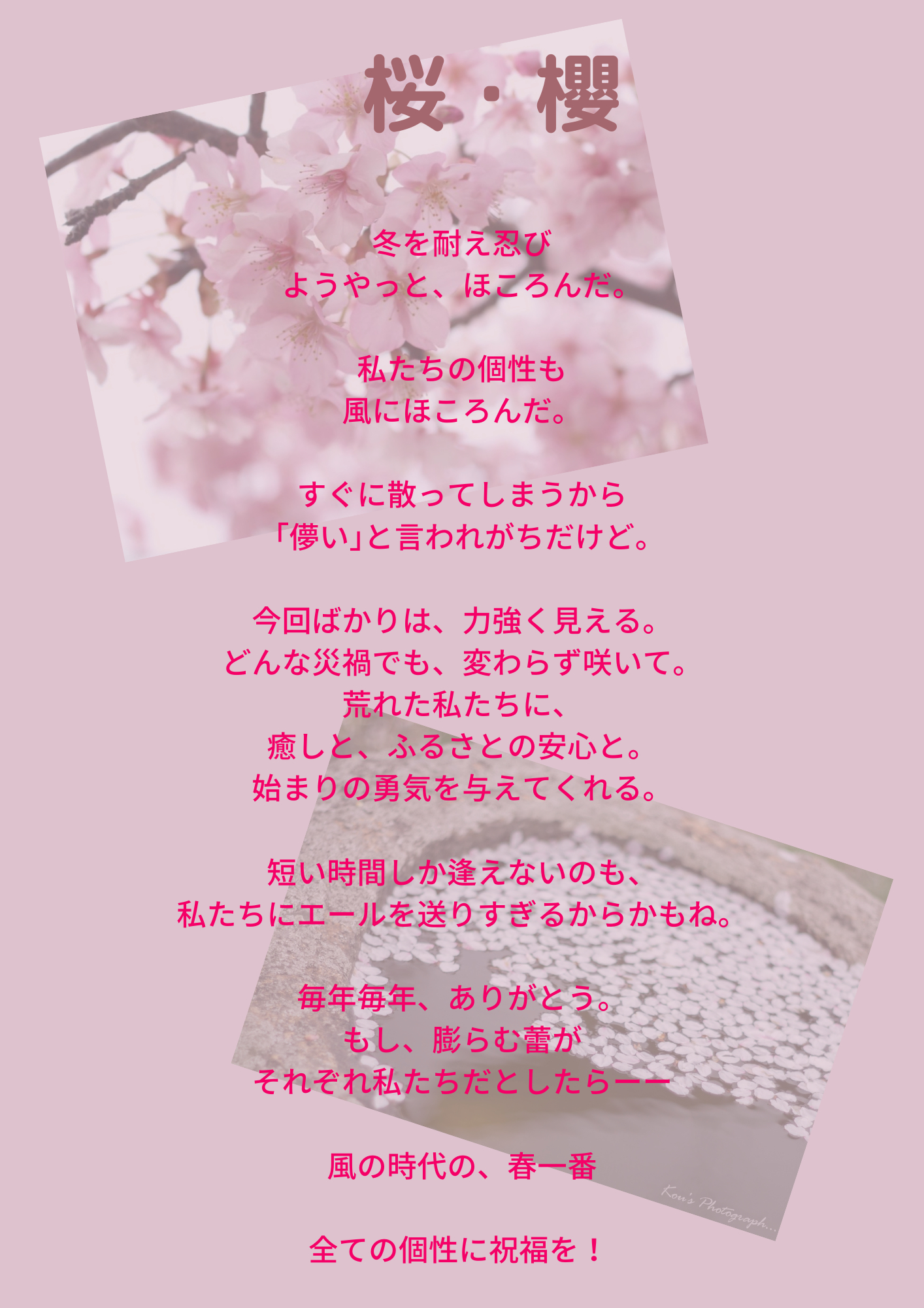 冬を耐え忍び ようやっと、ほころんだ。.png