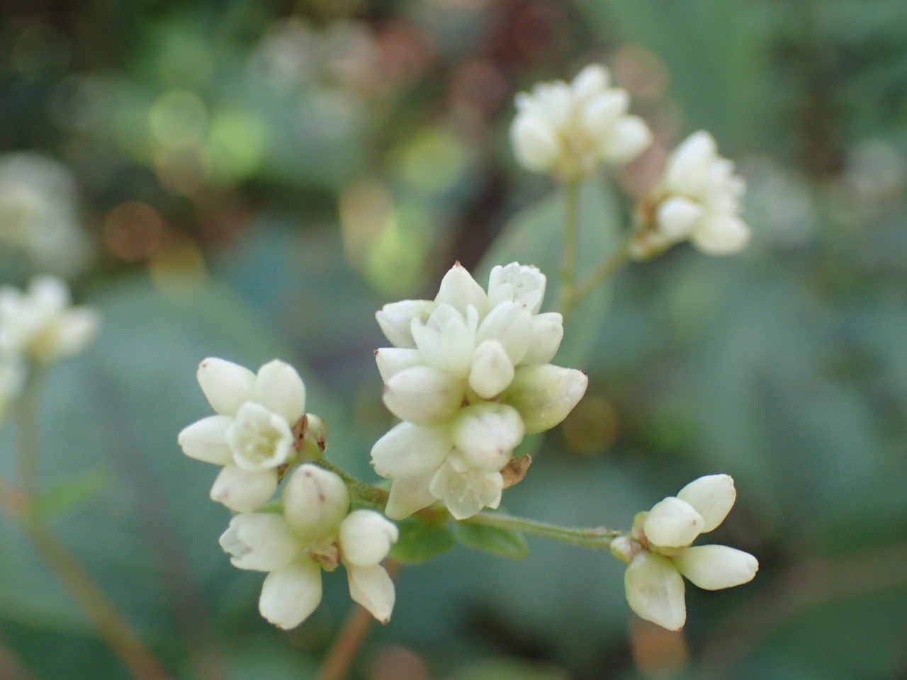 PB010861.JPG