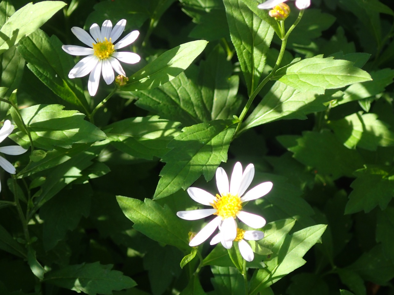 PB010742.JPG