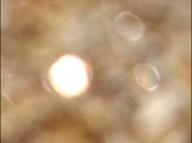 _20220417_185115.JPG