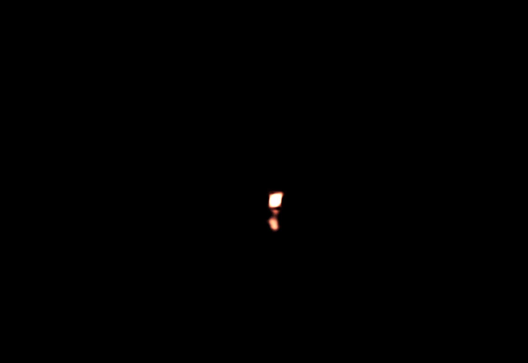 _20220201_084206~2.JPG