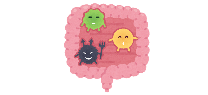 腸内細菌のイラスト.png