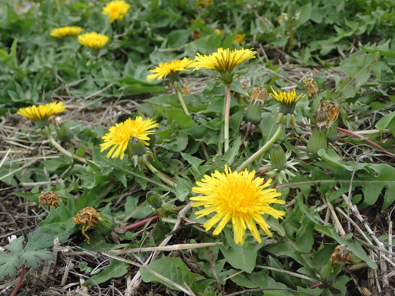 P4051784.JPG