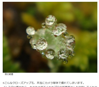ココナラで文字サイズを小さくする方法.jpg