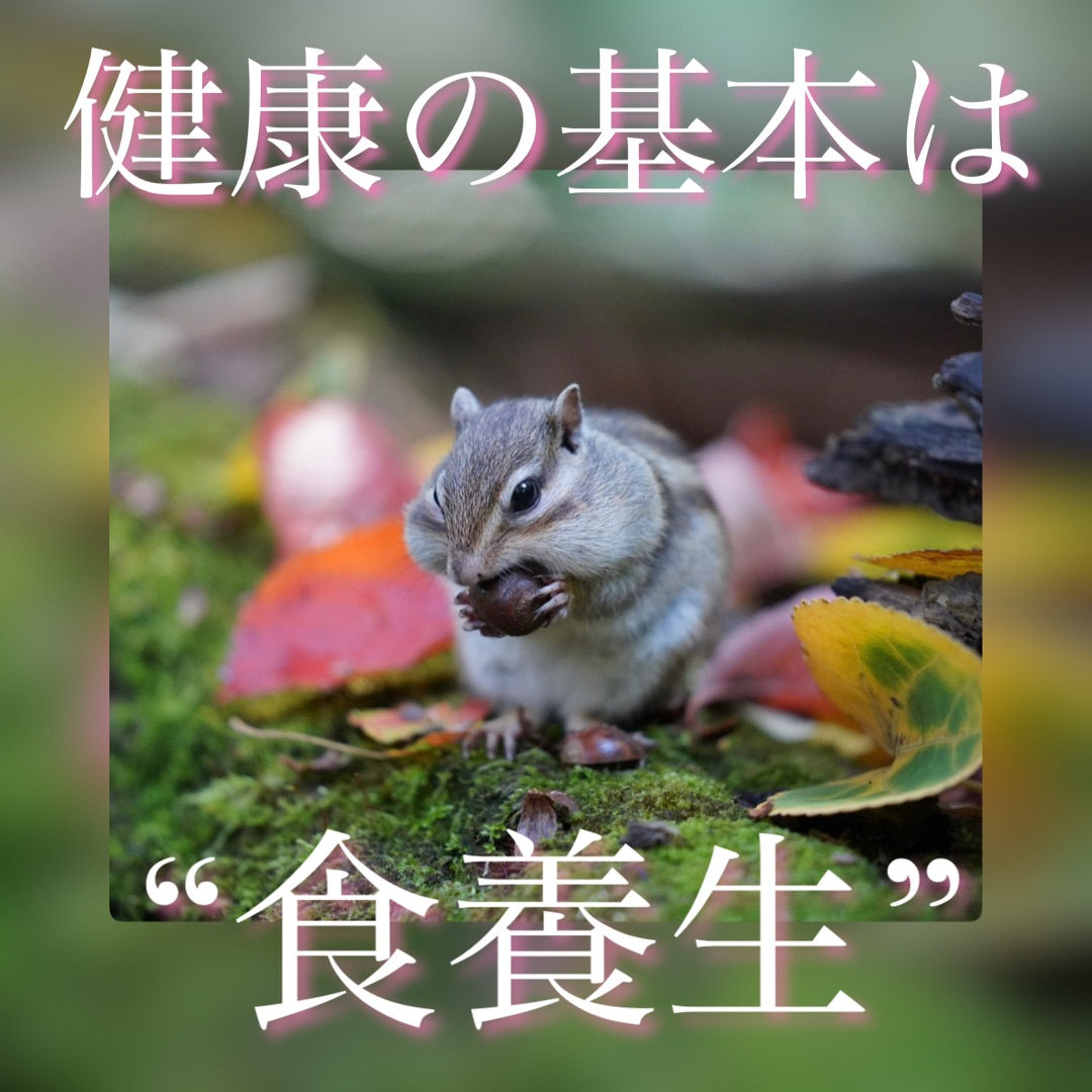 食養生.jpg