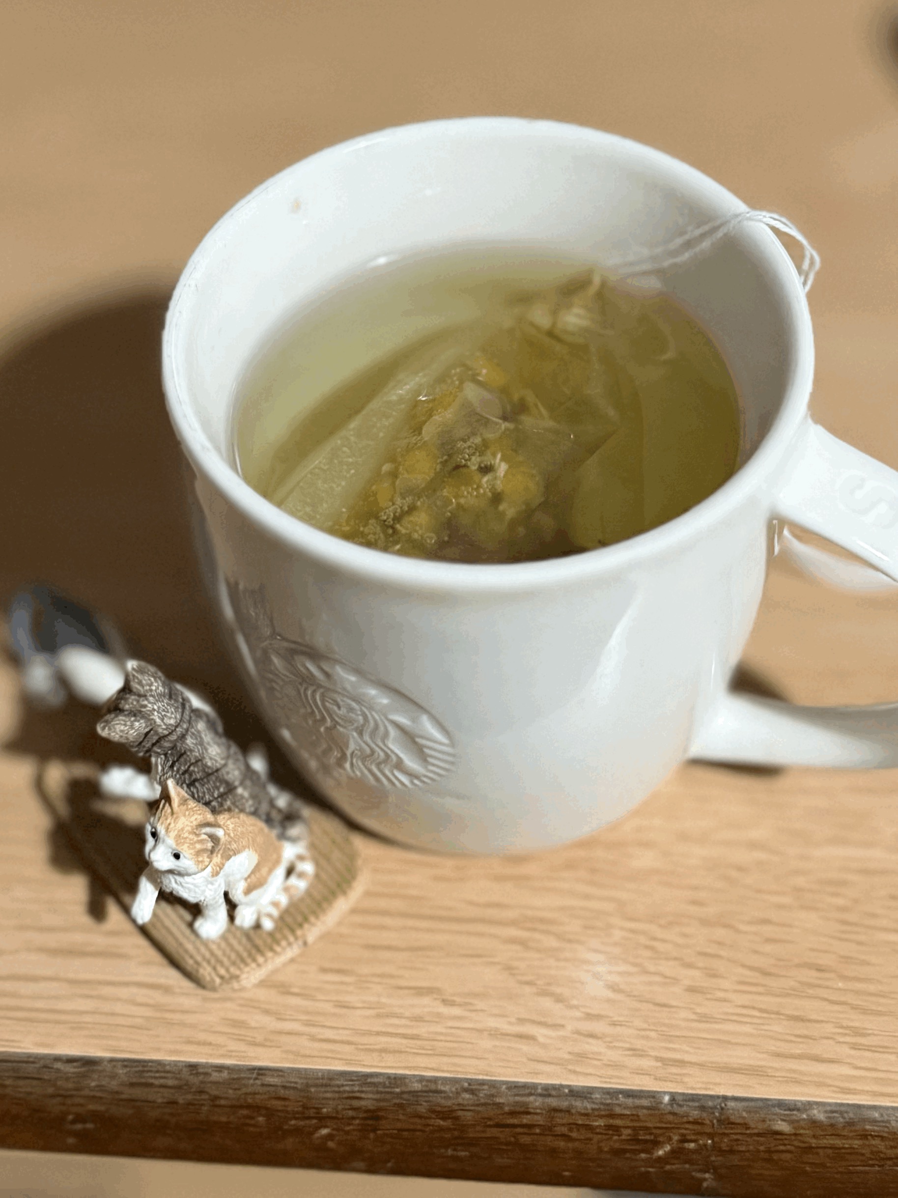 tempImagevosIVo.gif