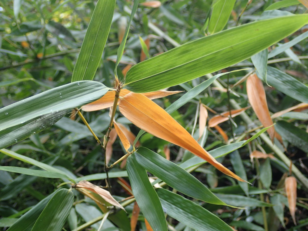 PA290357.JPG