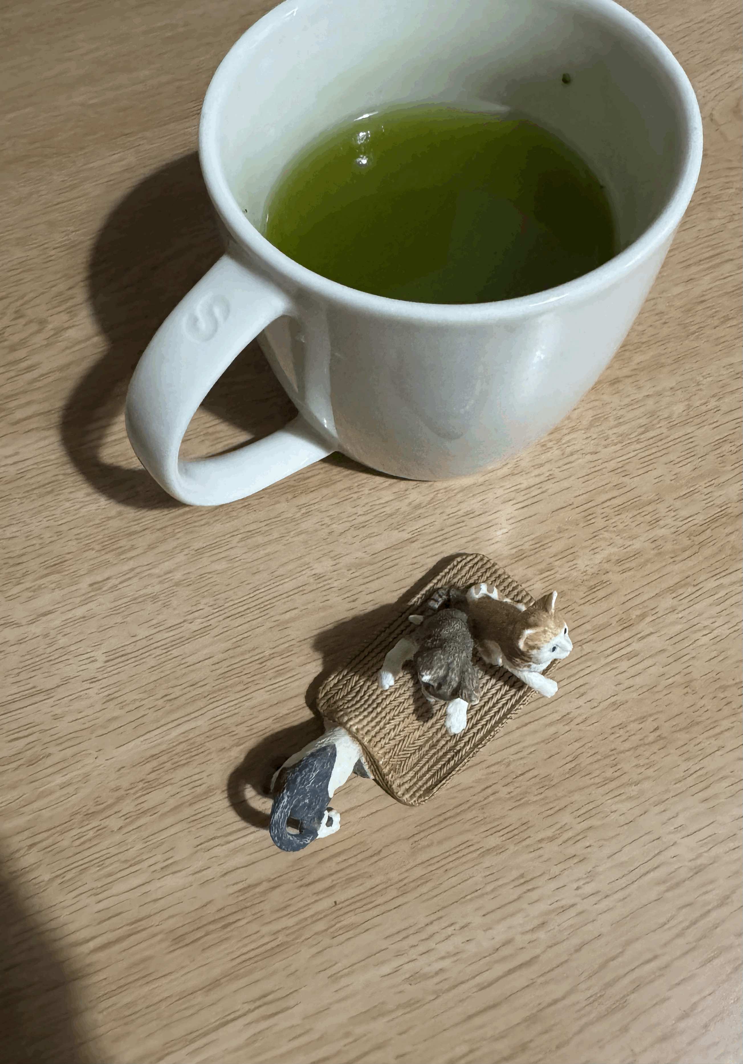 tempImageiedMHI.gif