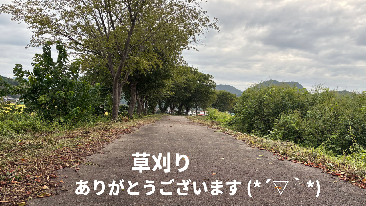草刈り後.png