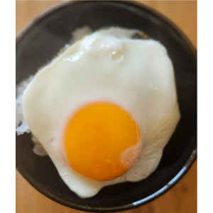 名称未設定 (100 x 100 px) (100 x 100 px) (300 x 300 px).png