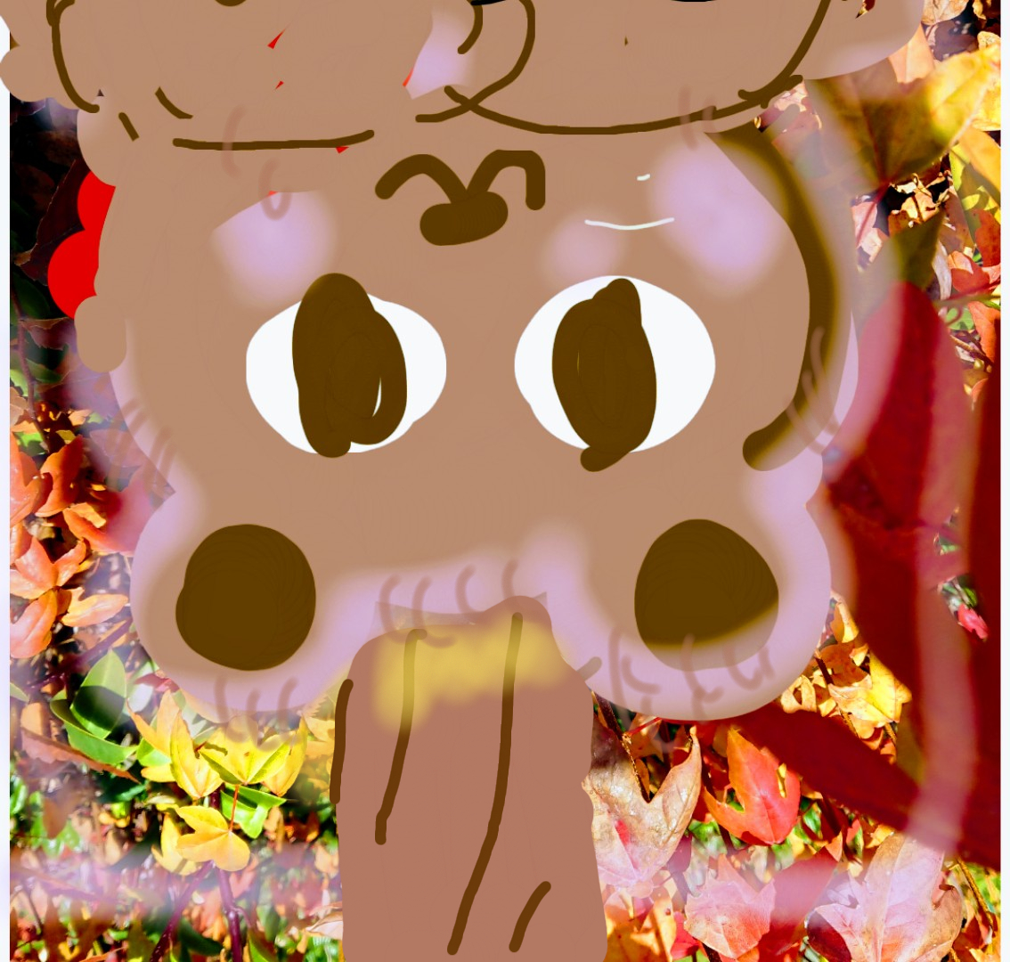 sketch-1655452080775.png