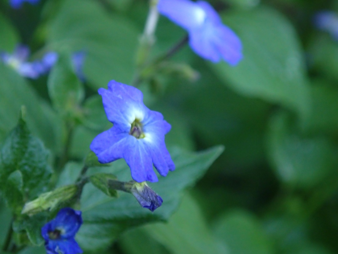 PA101422.JPG
