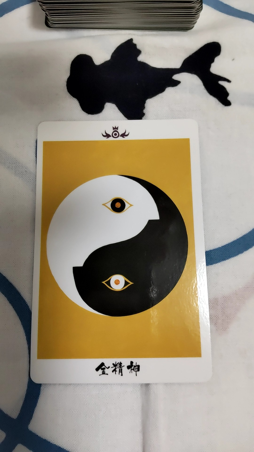050903.jpg