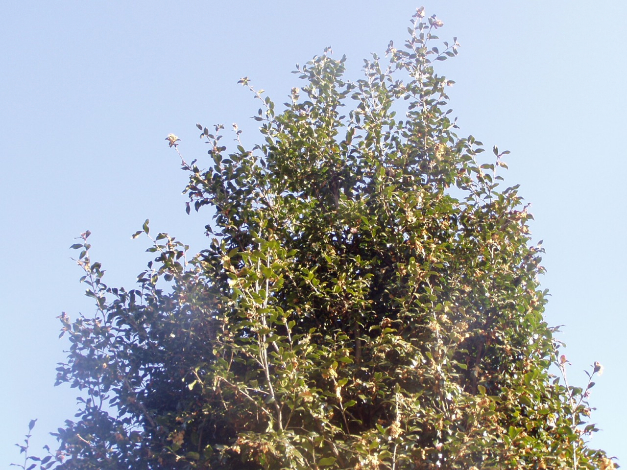 P1010008.JPG