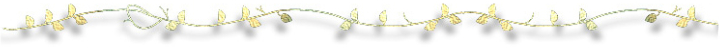 happa.png
