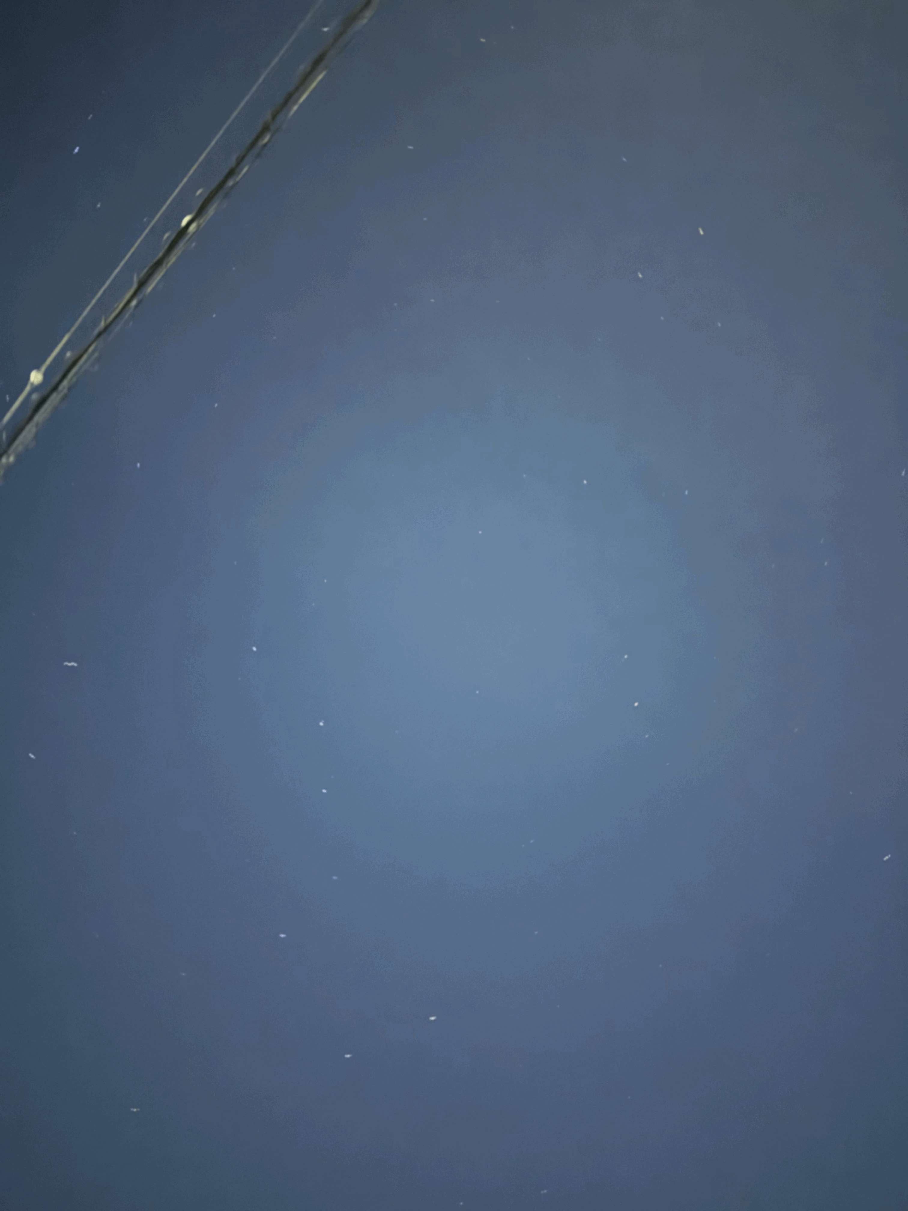 tempImage4uVDe0.gif