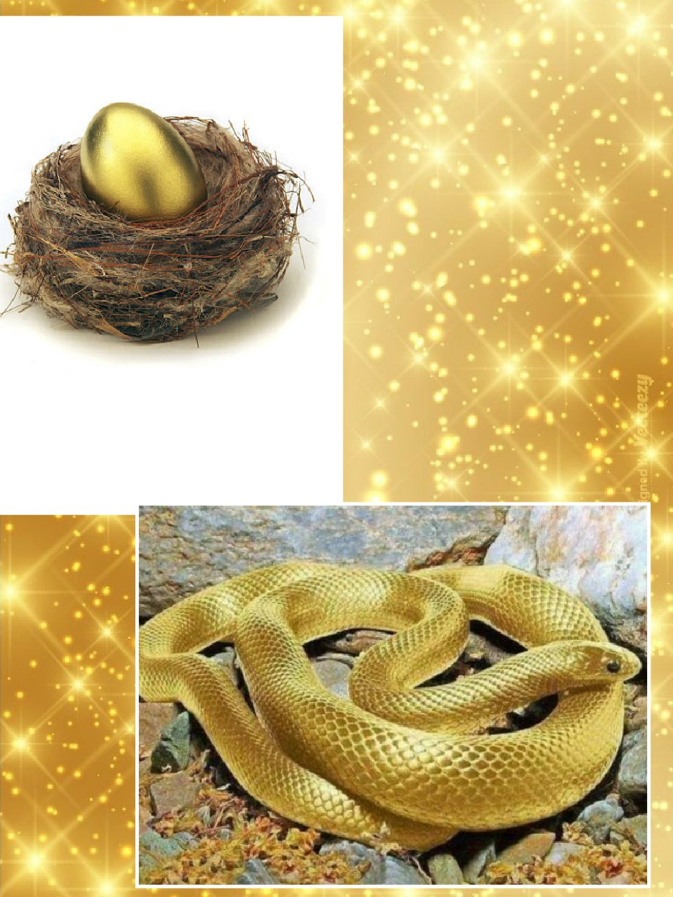 collage-1650463581621.jpg