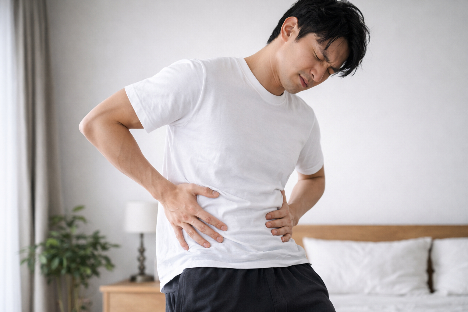 ChatGPT Image 2026年2月20日 20_29_57.png