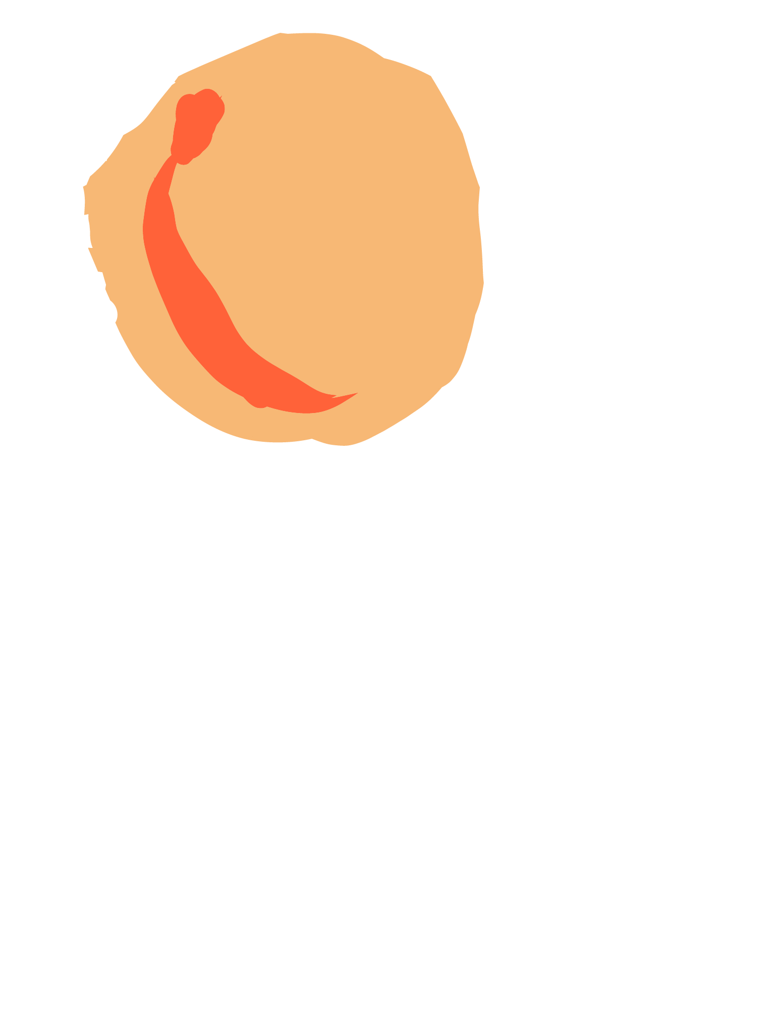 アプリコット のコピー.png