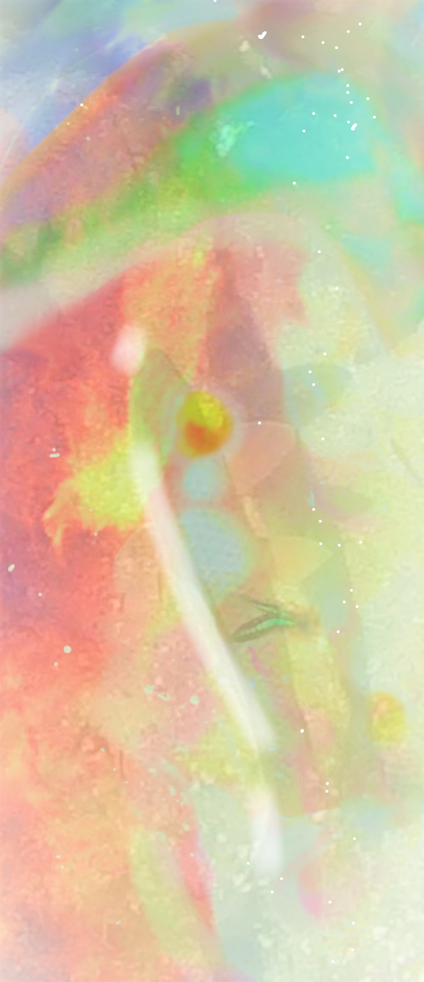 sketch-1683008748580 (2).png