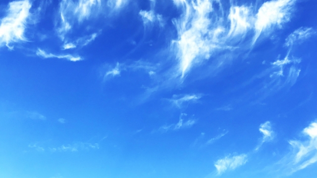 25670548_s.jpg