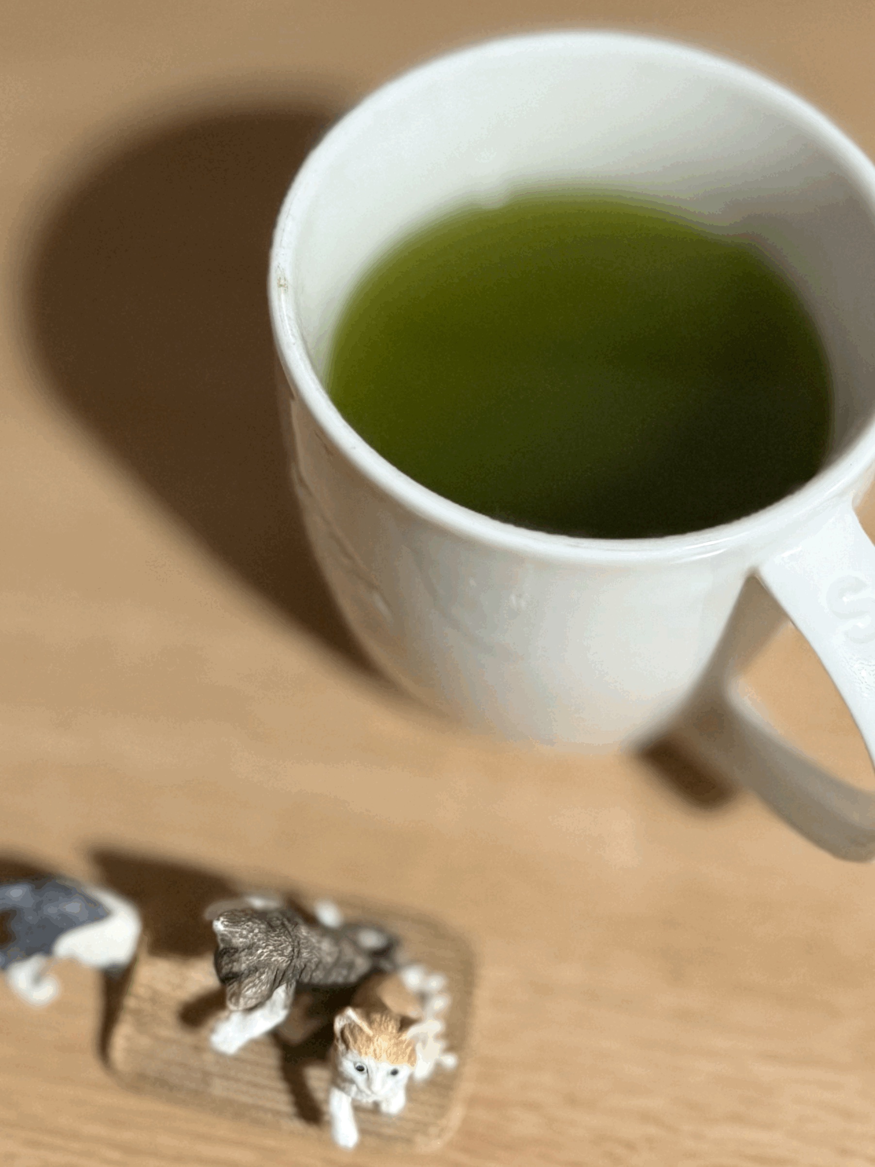 tempImagejtZipg.gif