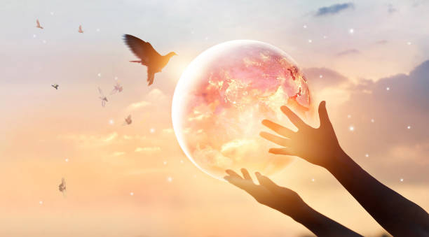 istockphoto-881359070-612x612.jpg