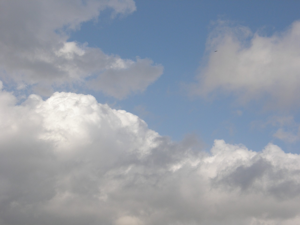 P4150290.JPG