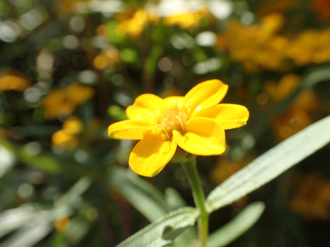 PA100081.JPG