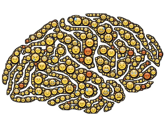 brain-954816_640.jpg