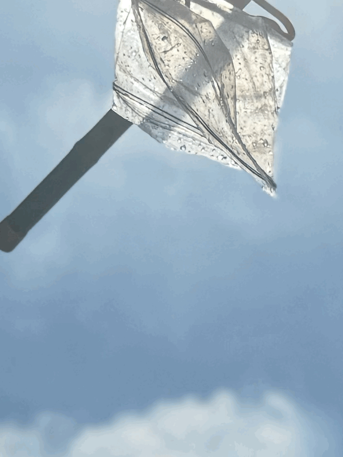 tempImagelXgx5Q.gif