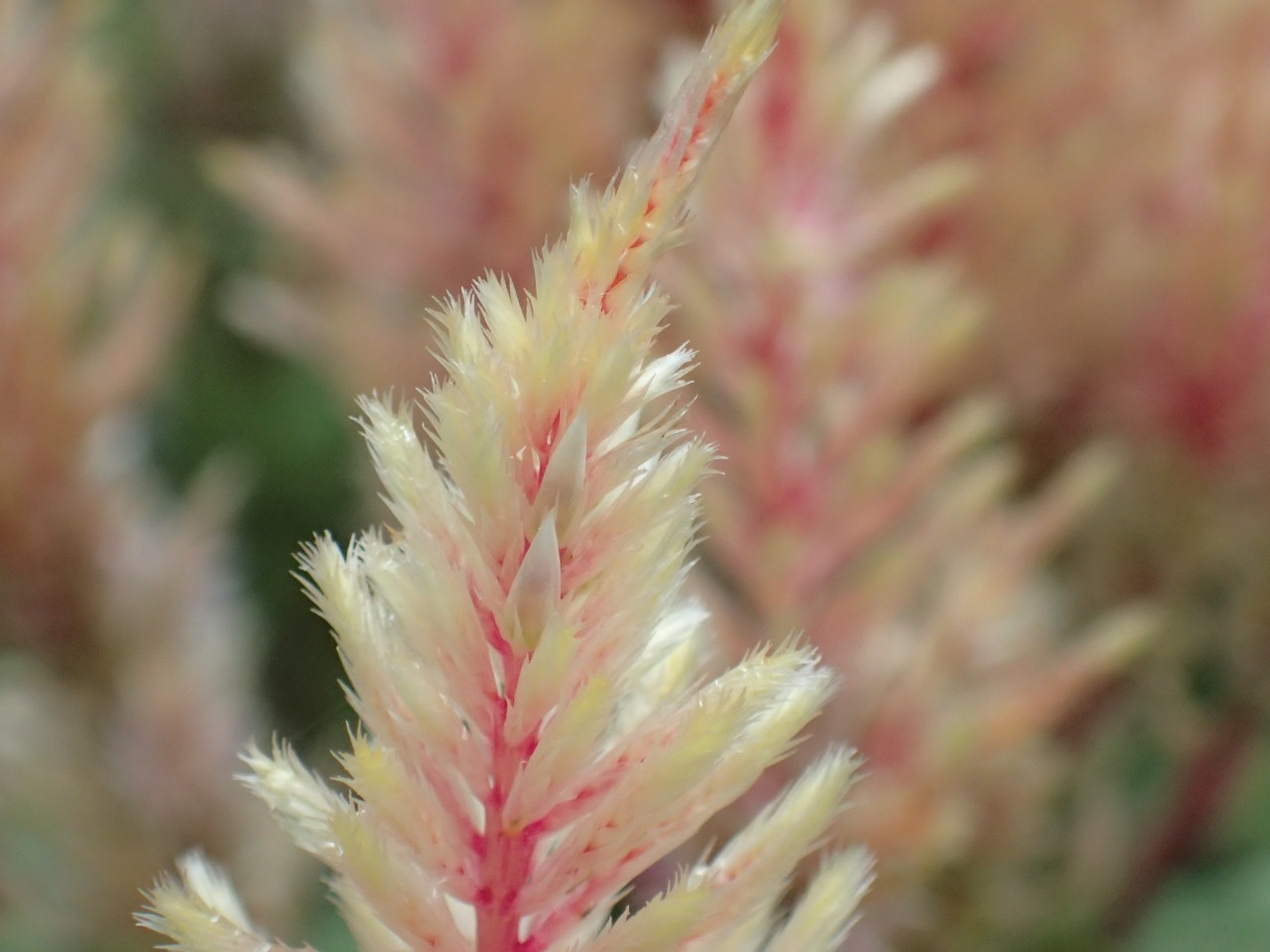 PA120394.JPG
