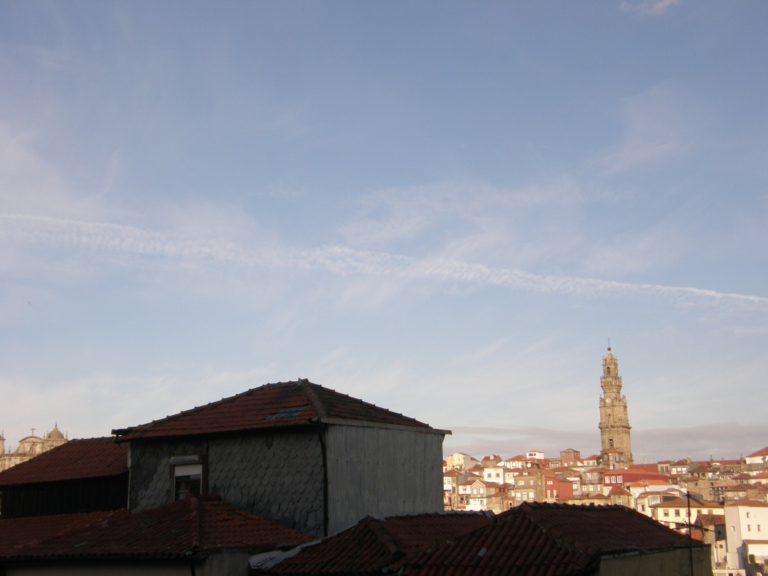 P1240555.JPG