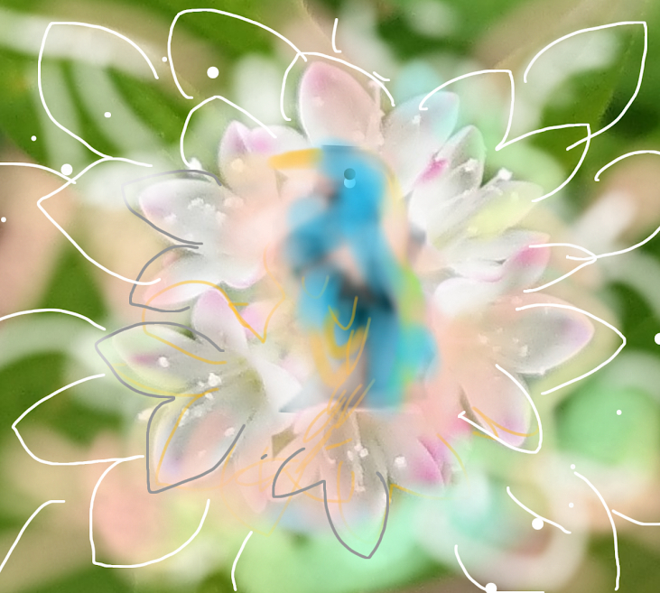 sketch-1671490456435.png