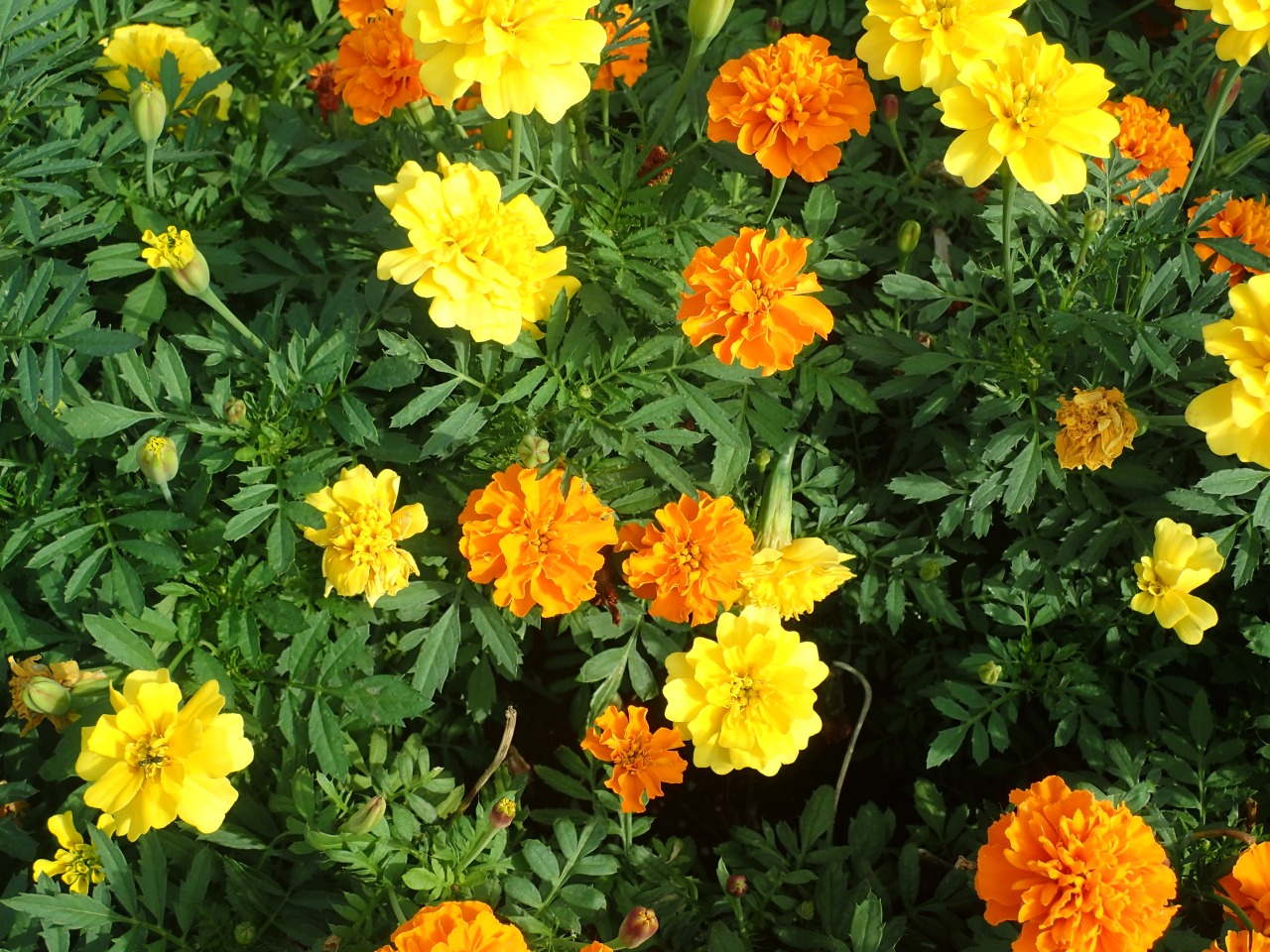 PA140501.JPG