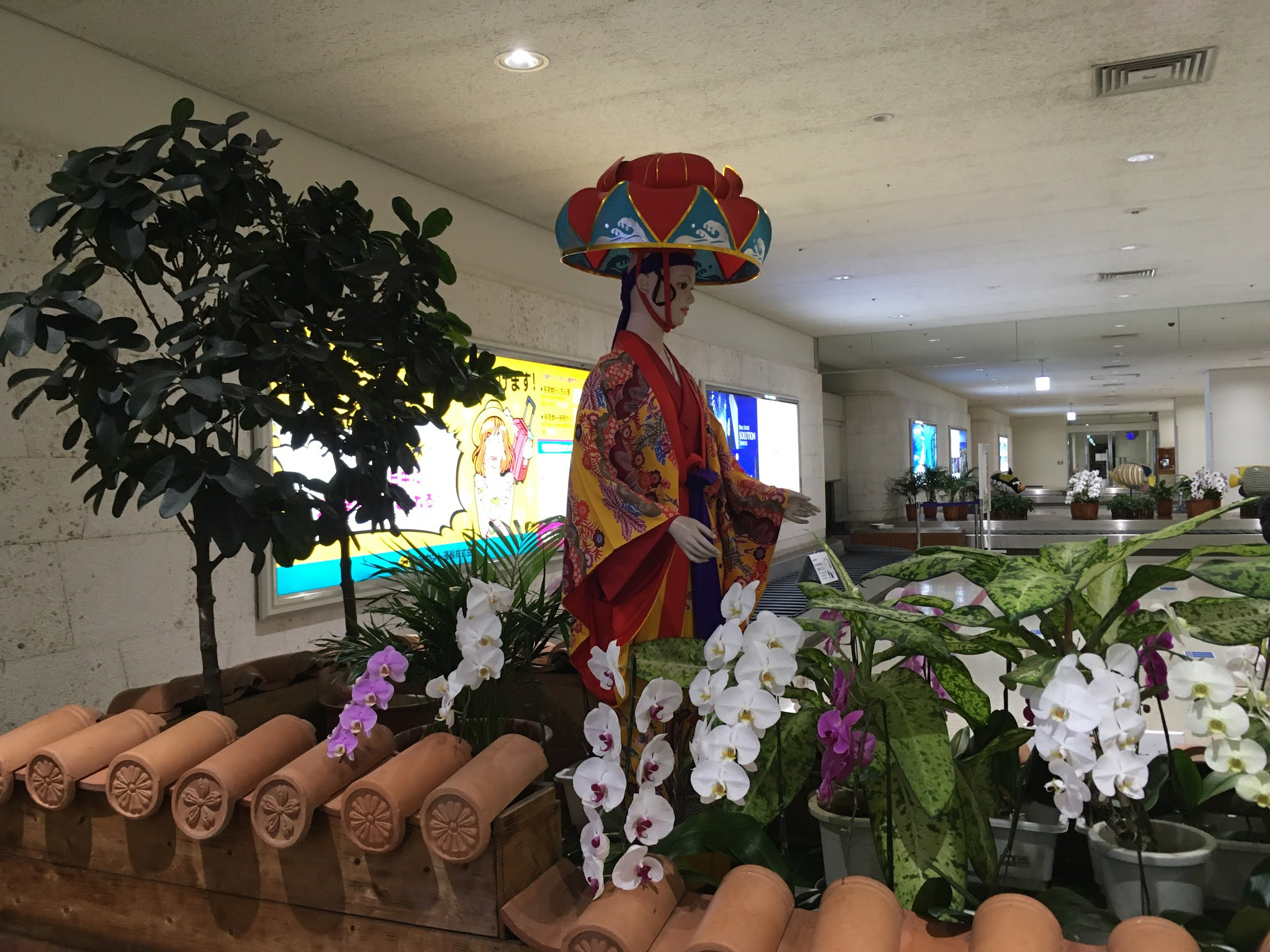 IMG_0206.jpeg