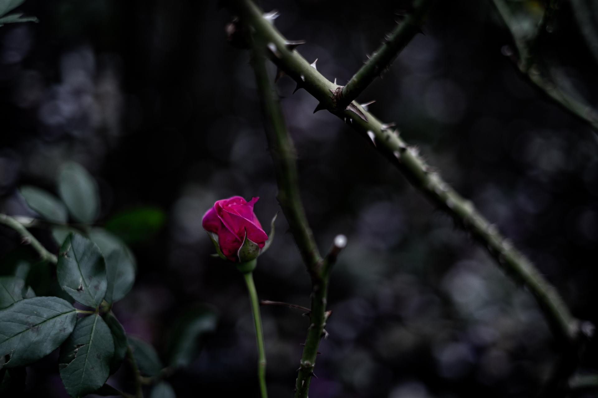 3CDE6671-6C75-4FC6-8FBF-49D9E97A46EB.jpeg