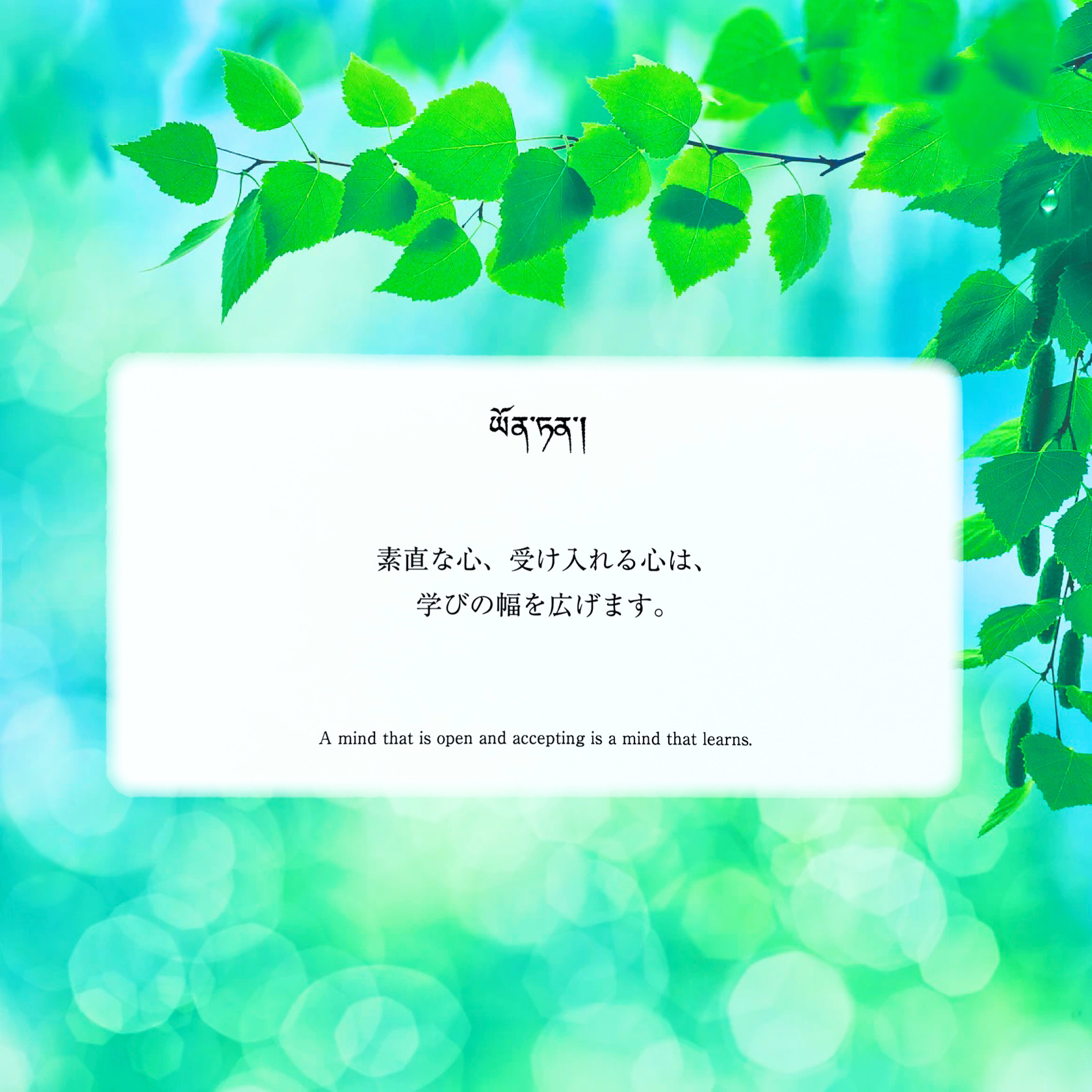 image0 (3).jpeg