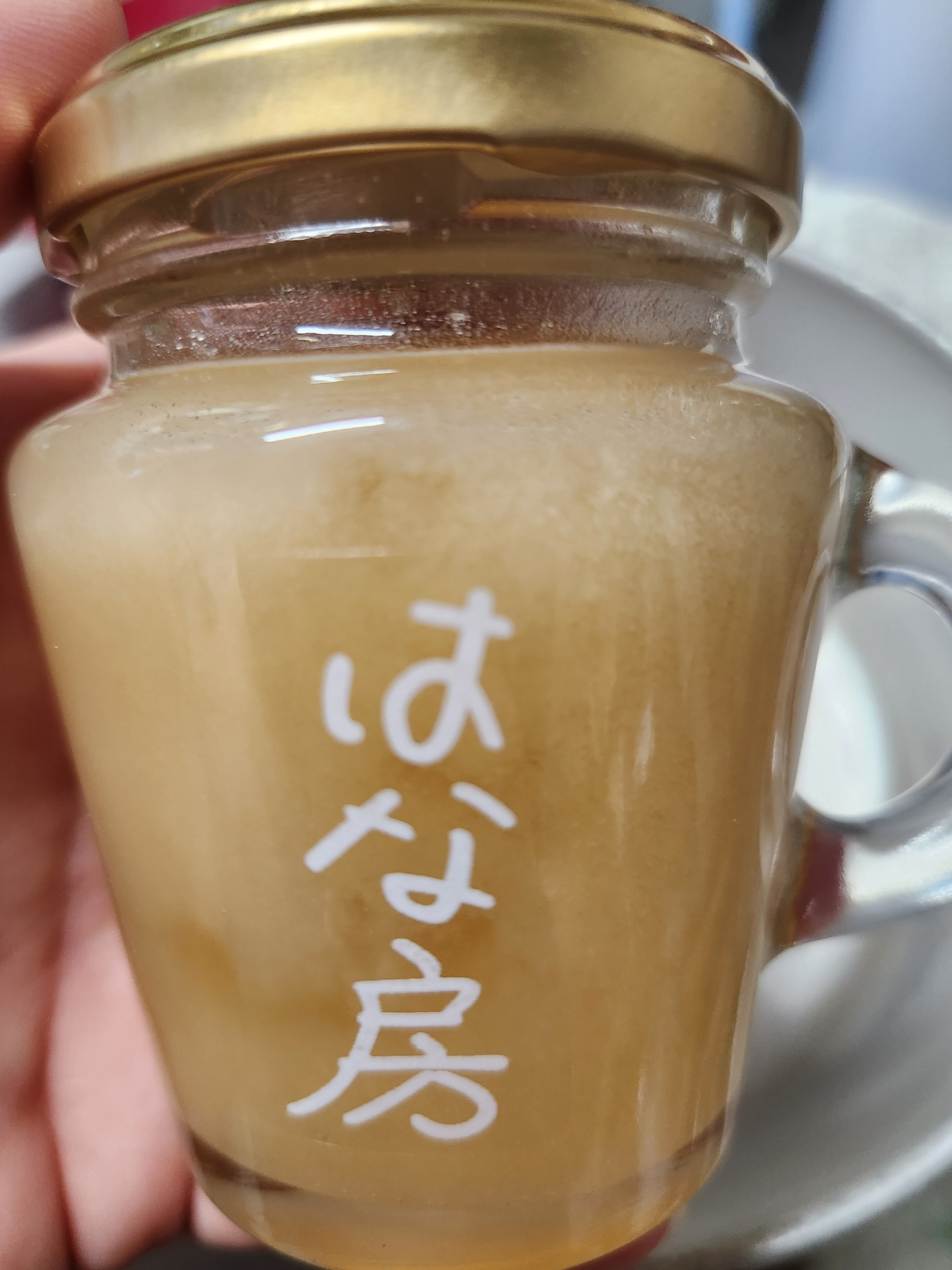 Point Blur_20241103_114556.jpg