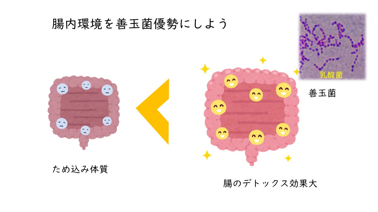 腸内環境.jpg