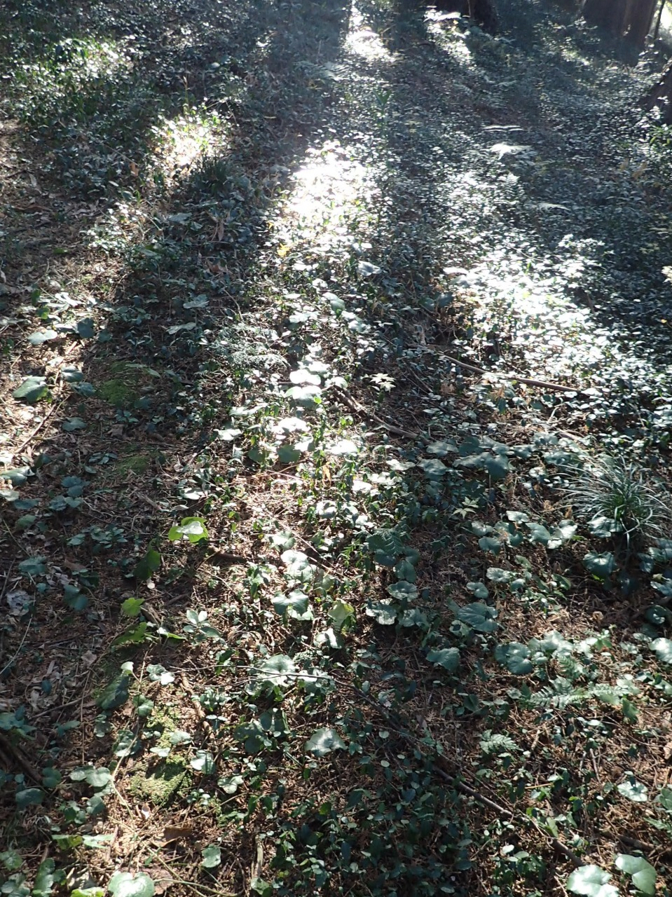 PC310238.JPG