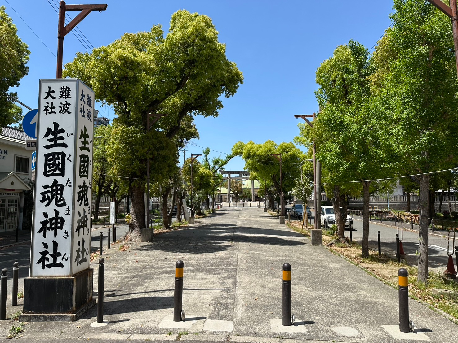 S__59654166.jpg