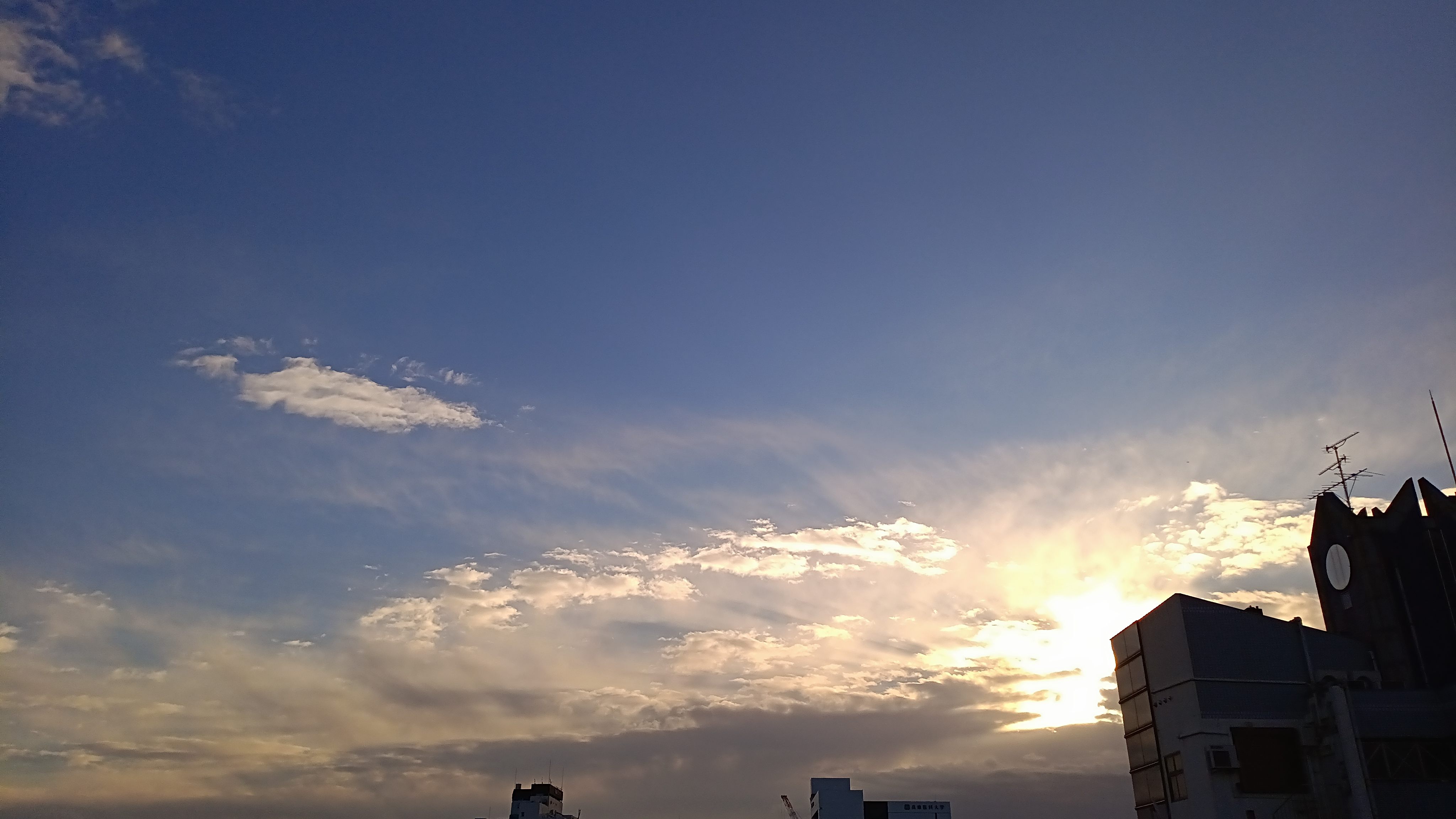 IMG_20241129_073913_129.jpg