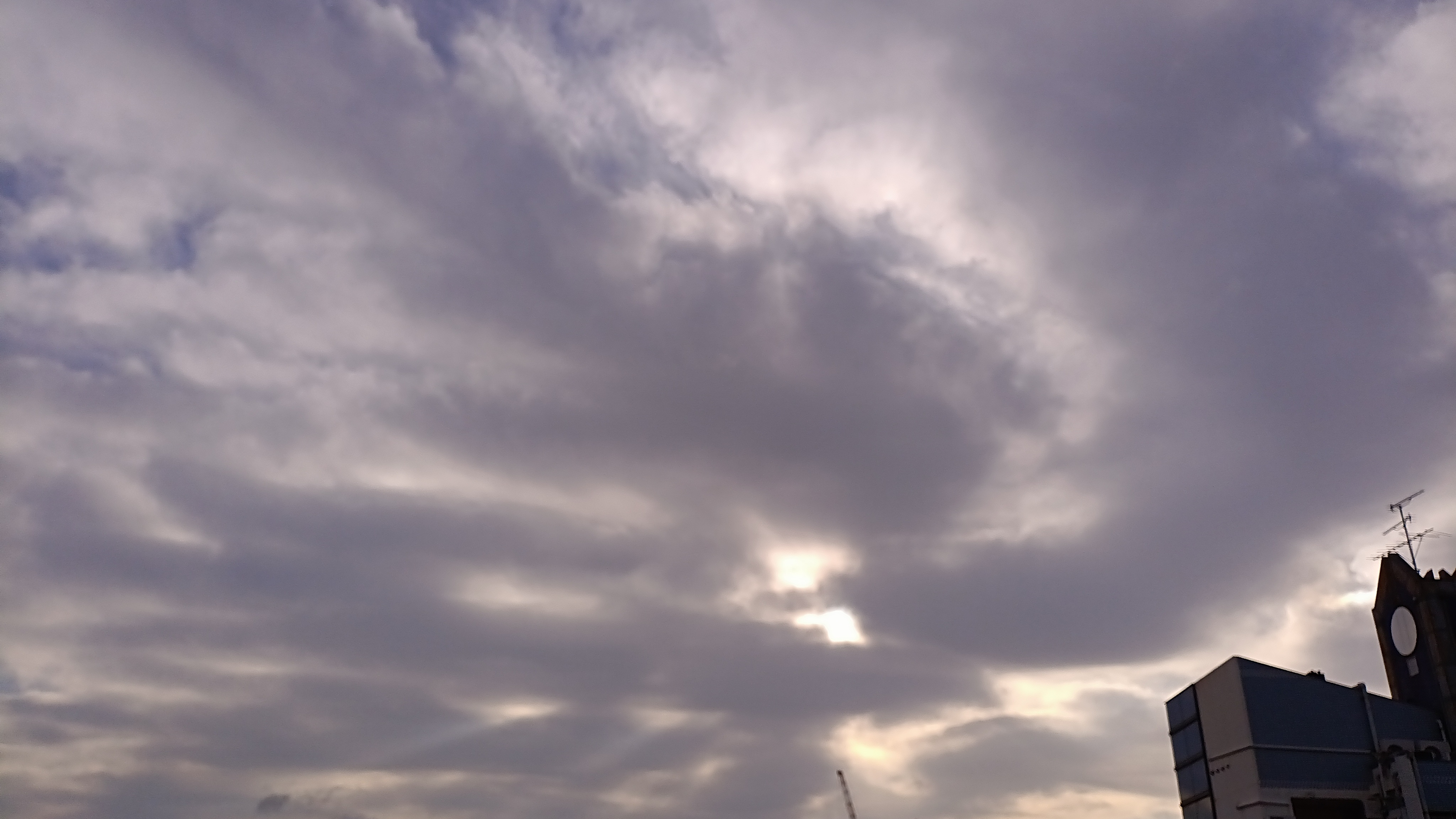 IMG_20250306_074556_947.jpg