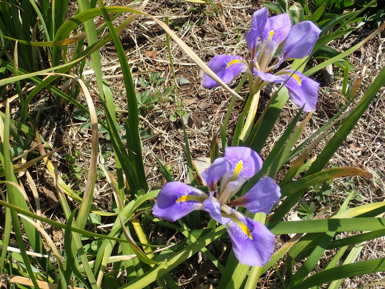 P3221054.JPG