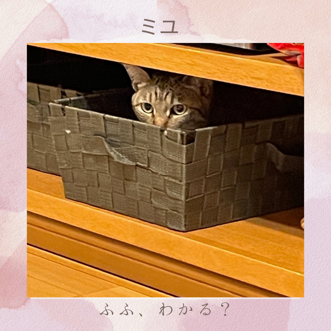 芸人さん (7).png