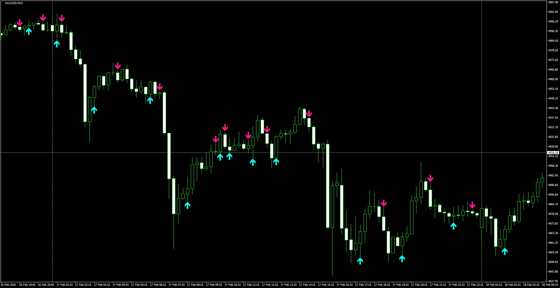 XAUUSD(M15)_2026.02.18_201520.png