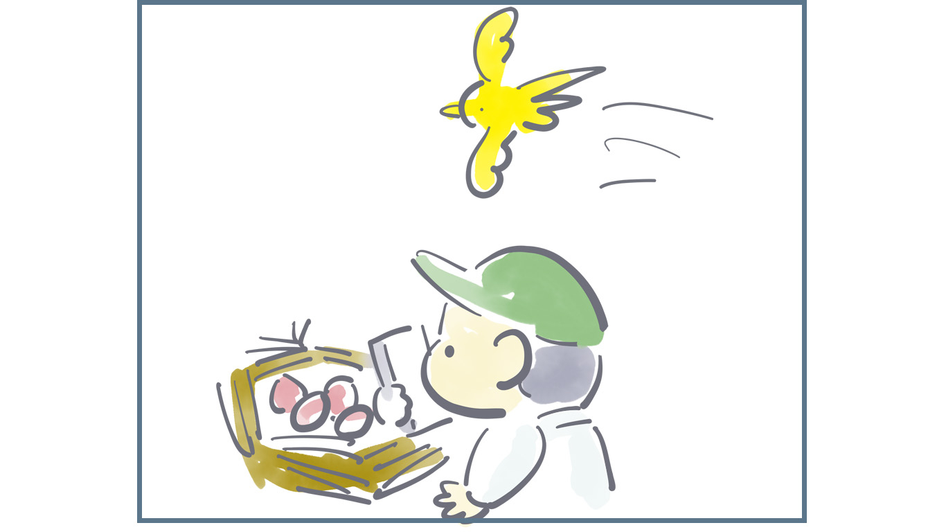 卵の前で鳥.jpg